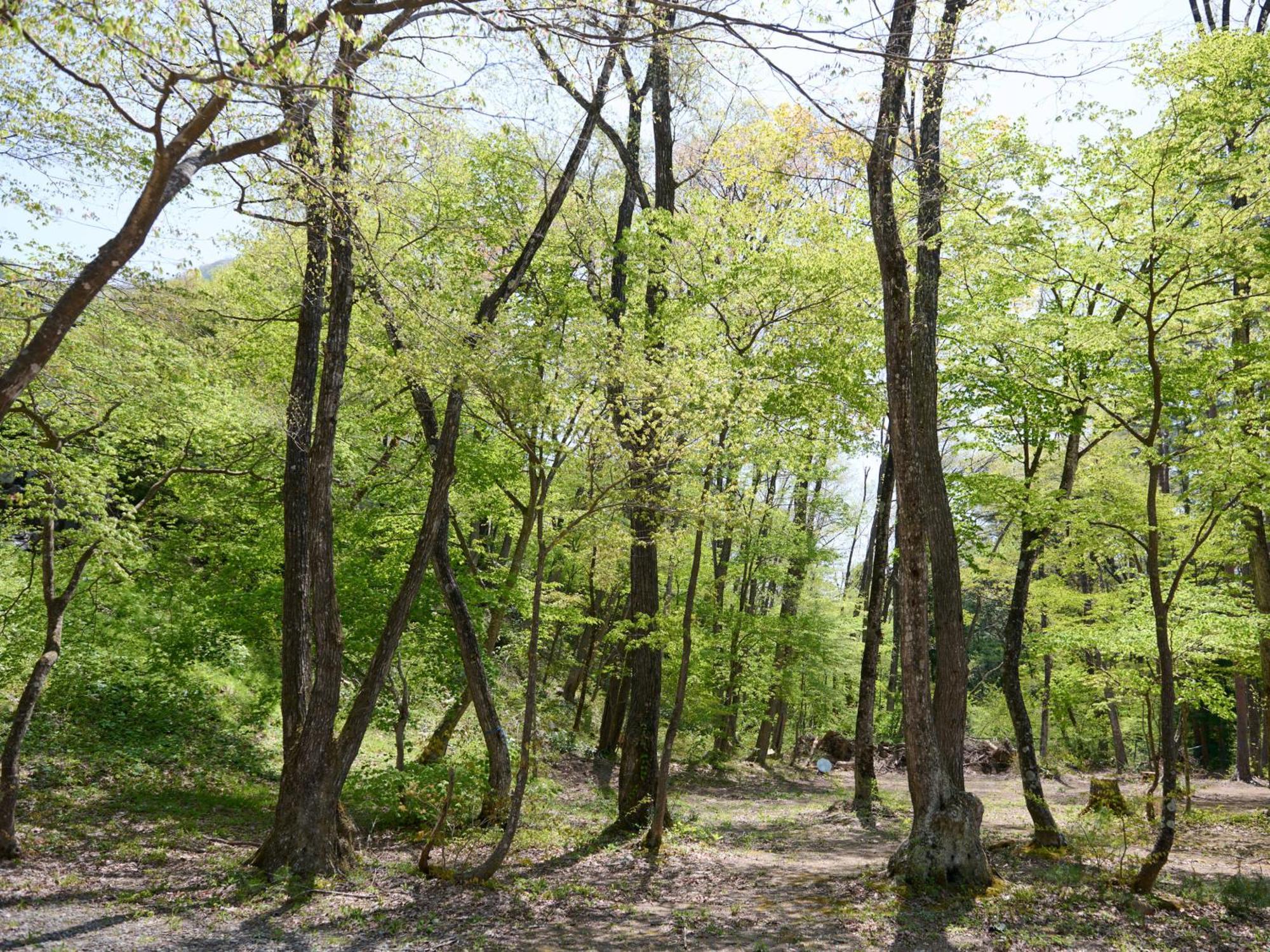 ホテル Tabist こぼうしの湯 洗心亭 会津湯野上温泉 下郷町 エクステリア 写真
