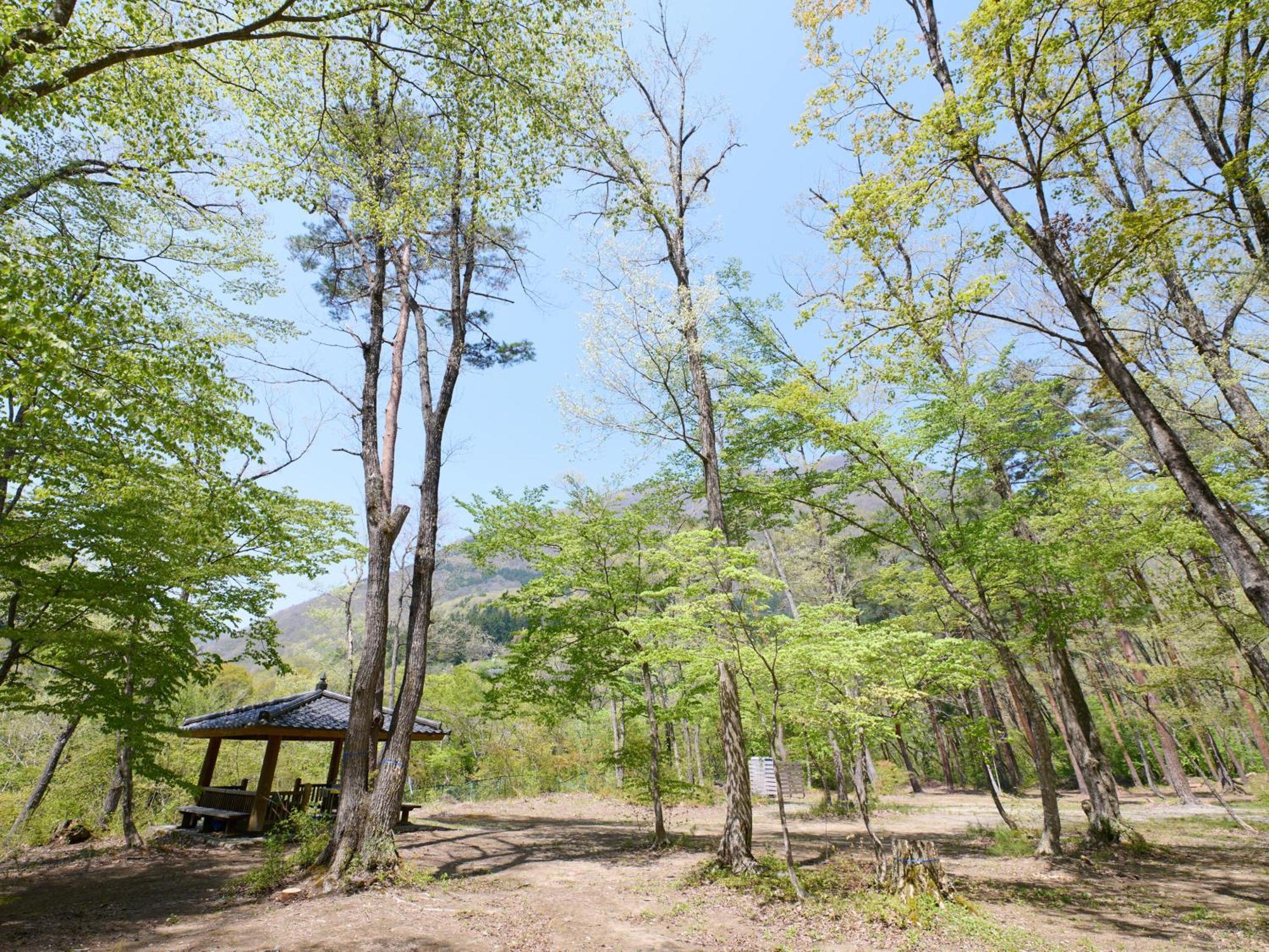ホテル Tabist こぼうしの湯 洗心亭 会津湯野上温泉 下郷町 エクステリア 写真
